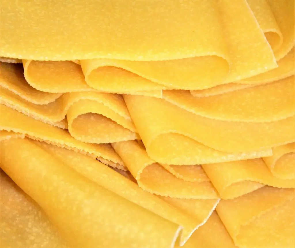 Feuilles à lasagne 2.5 kg