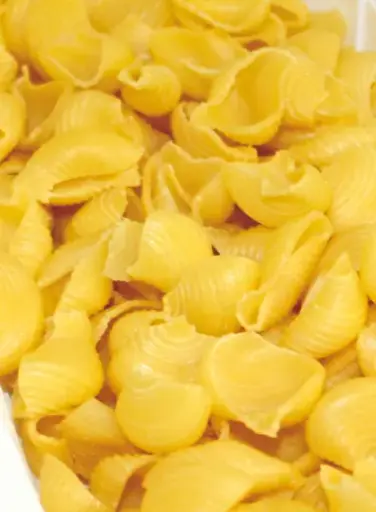 Conchiglioni 1 kg