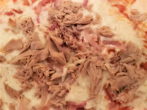 Pizza Tonijn - 1.1kg ( 48 x 29cm)